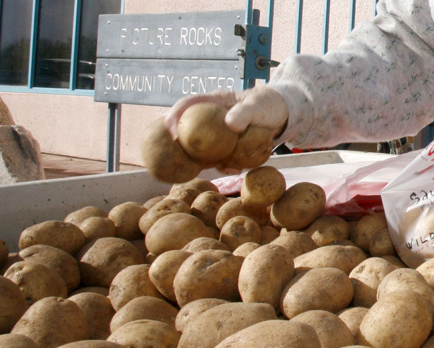 Most potatoes launched in three minutes